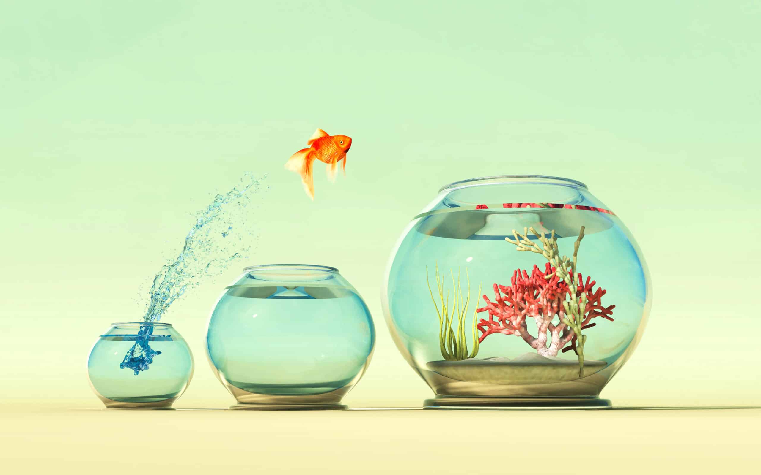 Open source project management is the future