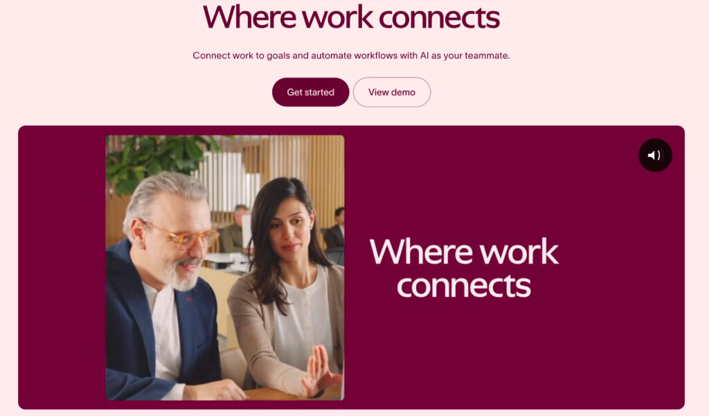 Asana project management